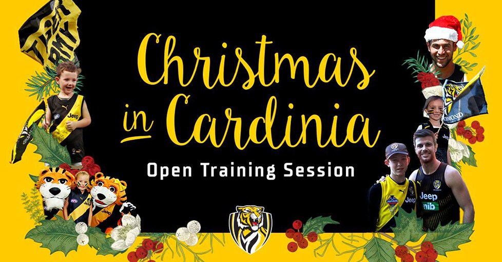 18ChristmasinCardinia2911.jpg